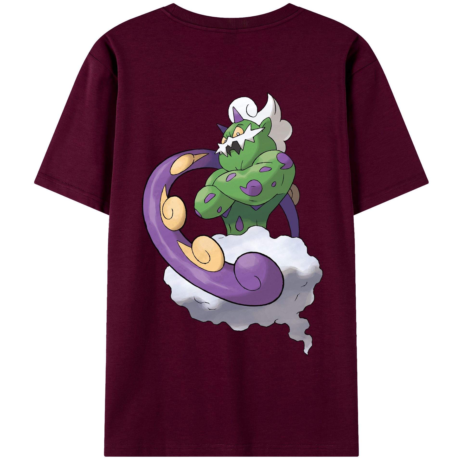 （画像用） ポケットモンスター Pokémon レディース半袖Tシャツ(バックプリント)